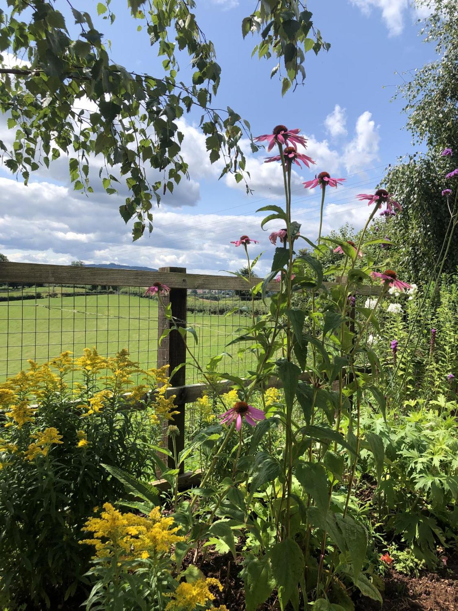 Betula Views Studio Newent Exterior photo