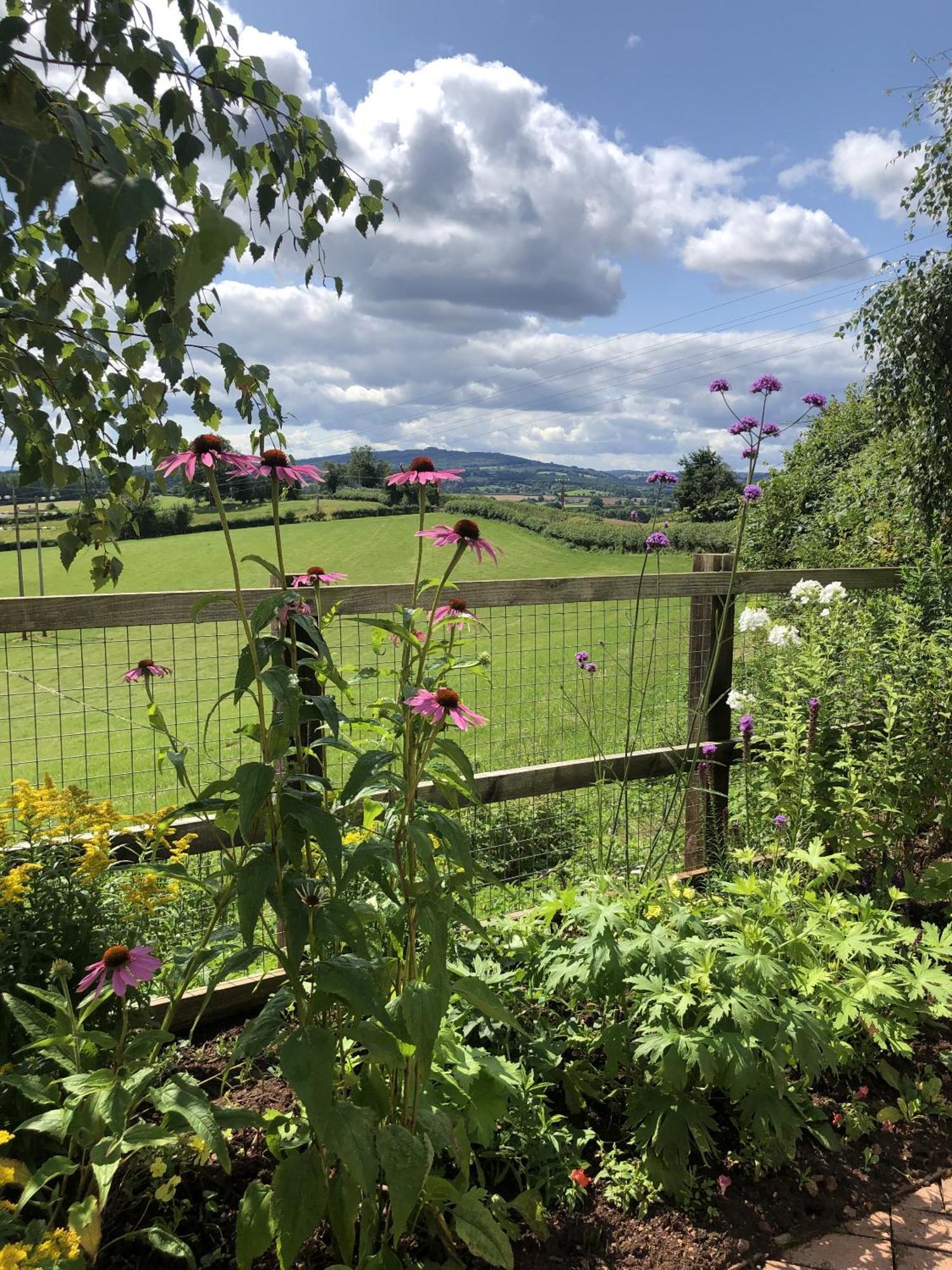 Betula Views Studio Newent Exterior photo